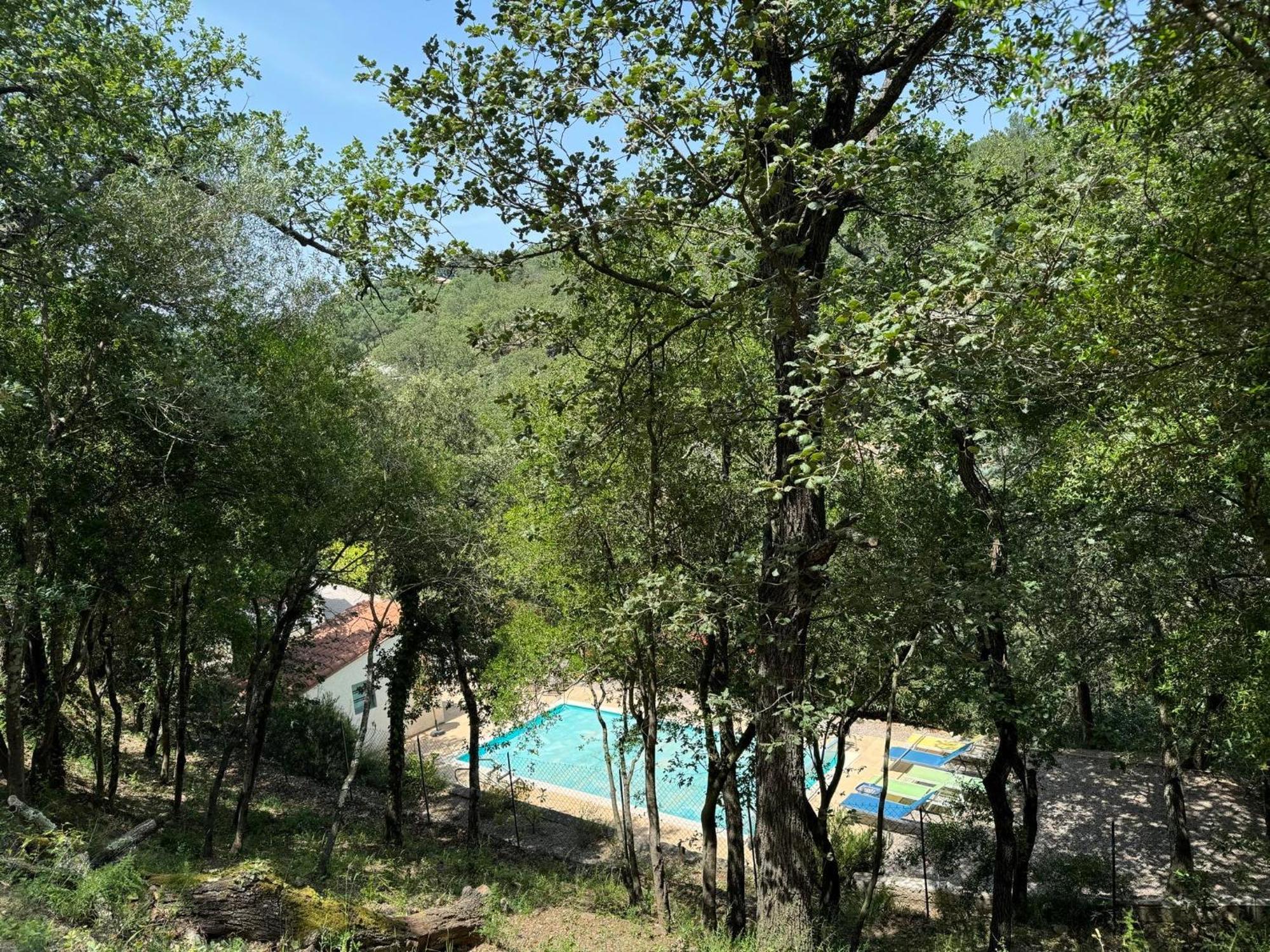 Maison Avec Piscine Chauffee Entre Mer Et Montagne Montauriol  Екстер'єр фото